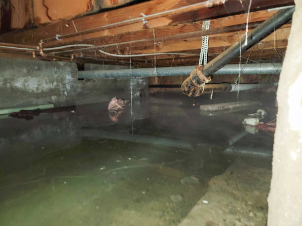 Water damage restoration mold remediation in Lansdowne, VA
