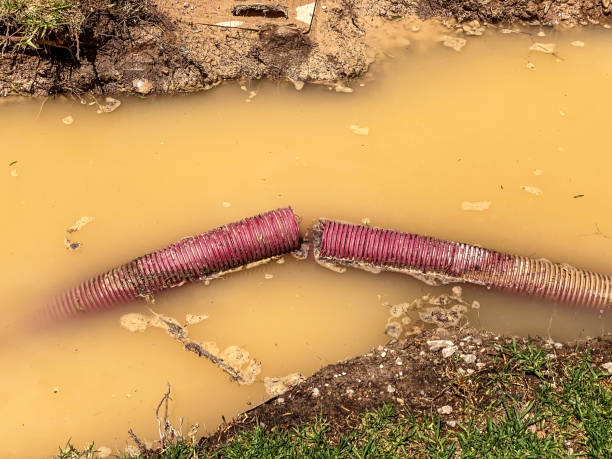 Best Water damage contractors near me  in Lansdowne, VA